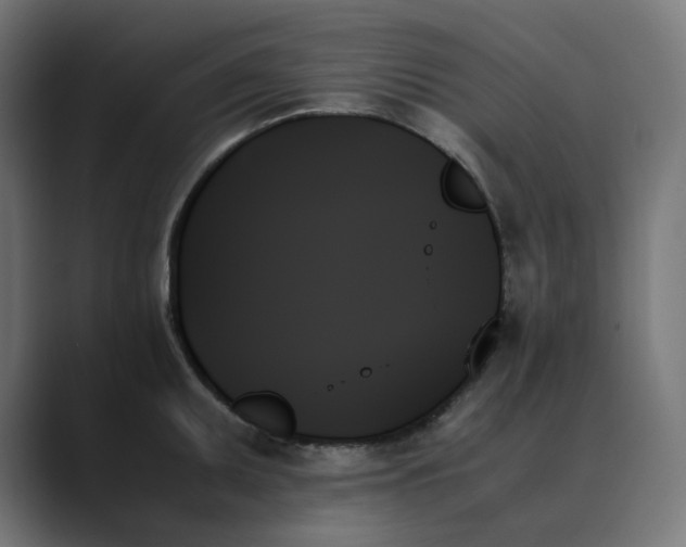X0000089351095200706291016