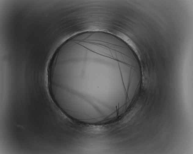 X0000089351096200706291016
