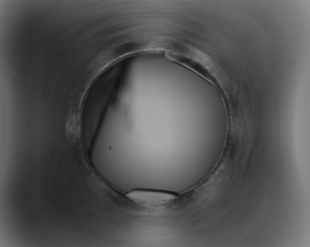 X0000089351097200706291016