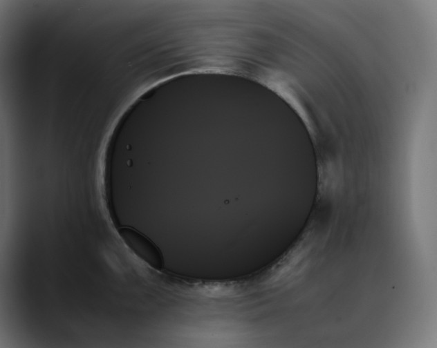 X0000089351099200706291016
