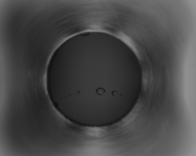 X0000089351100200706291016
