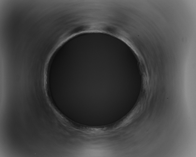 X0000089351101200706291016