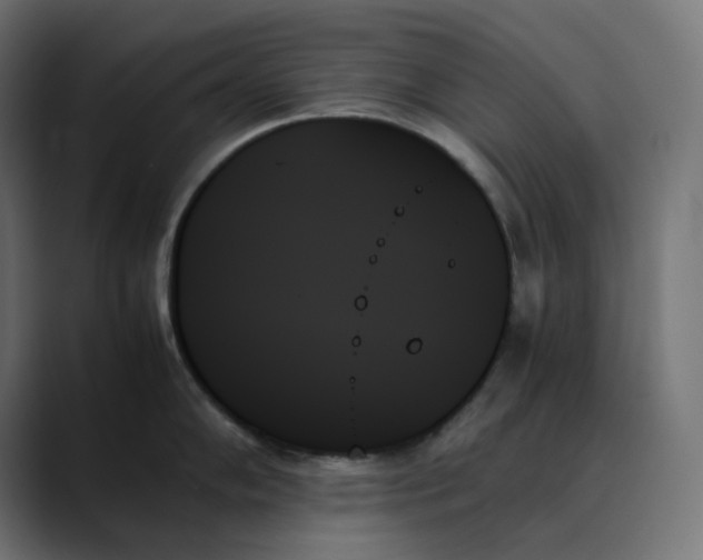 X0000089351102200706291016
