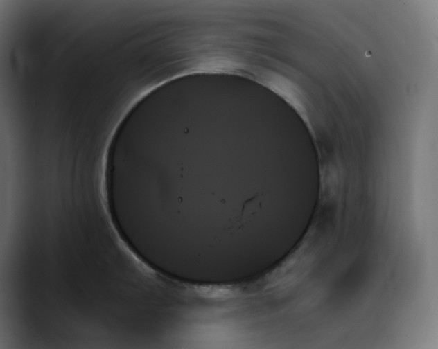 X0000089351103200706291016