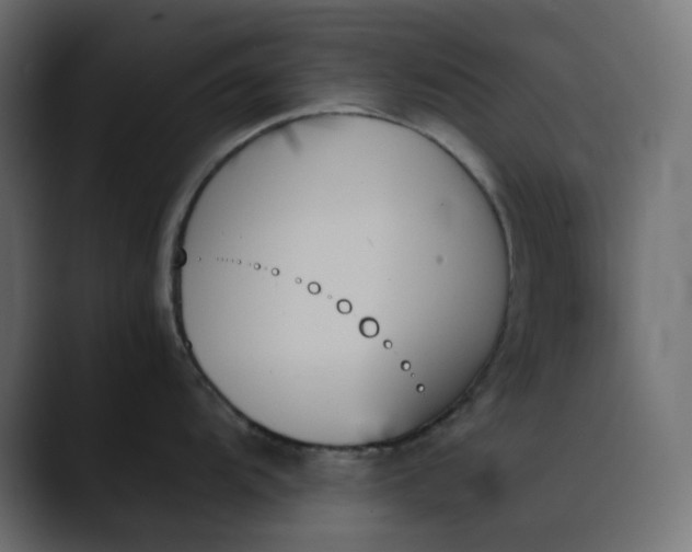 X0000089351104200706291016