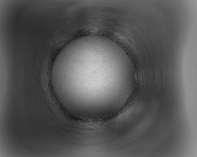 X0000089351105200706291015