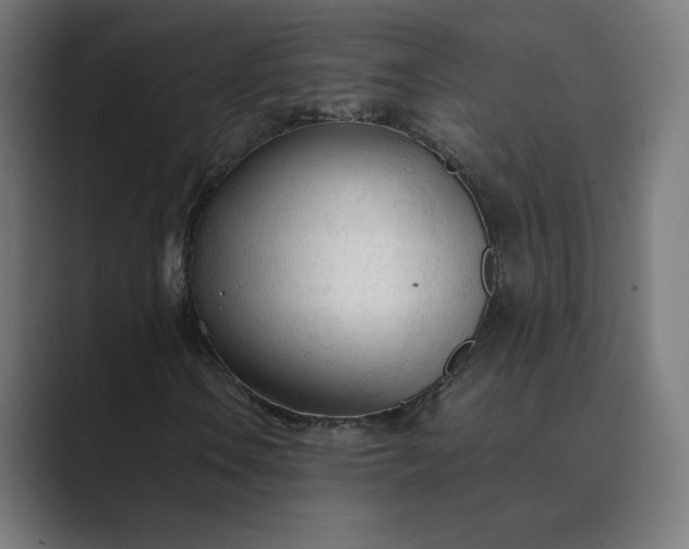 X0000089351106200706291015