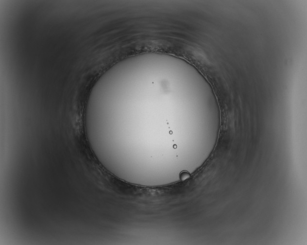 X0000089351109200706291016