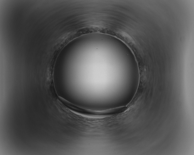 X0000089351110200706291016