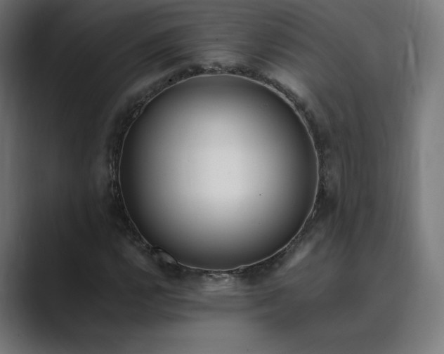 X0000089351112200706291016