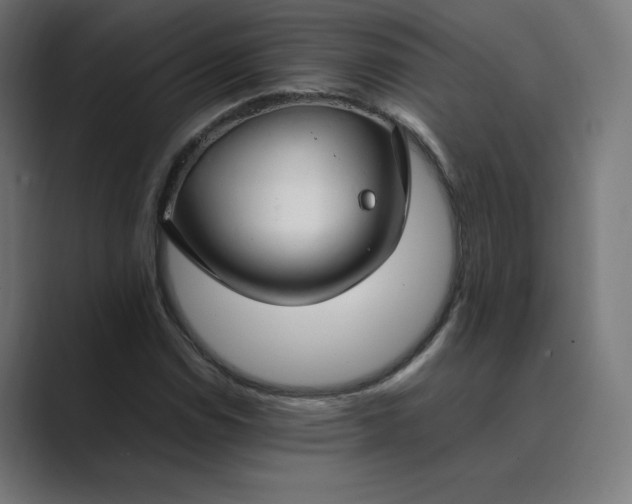 X0000089351114200706291016