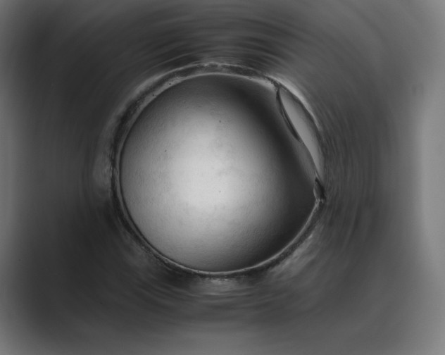 X0000089351115200706291016