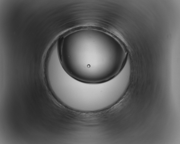 X0000089351116200706291016