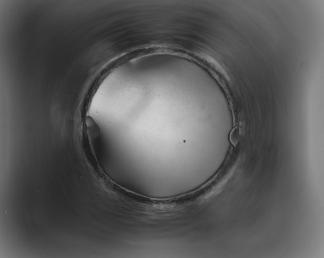 X0000089351117200706291016