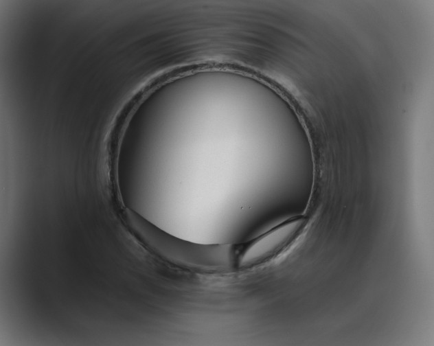 X0000089351118200706291016