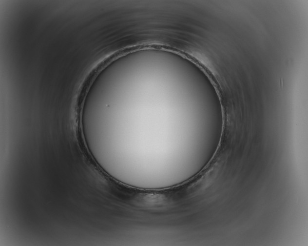 X0000089351119200706291016