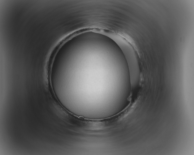 X0000089351120200706291016