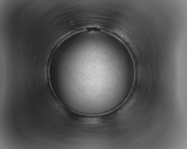 X0000089351121200706291016