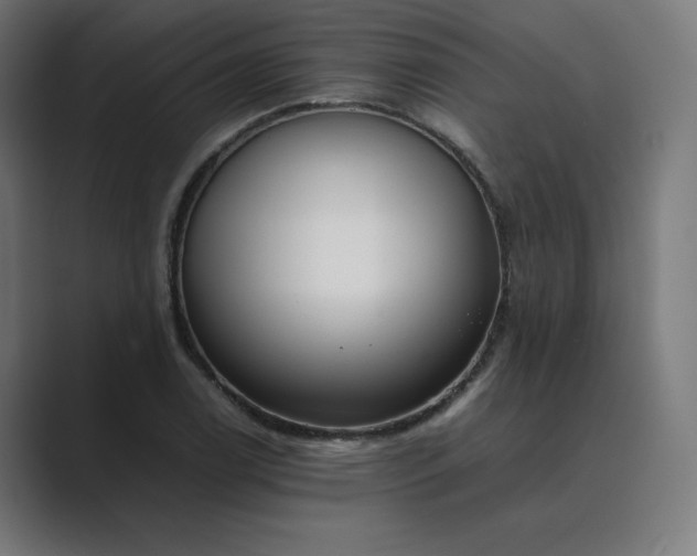 X0000089351122200706291016