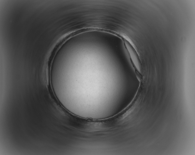 X0000089351123200706291016