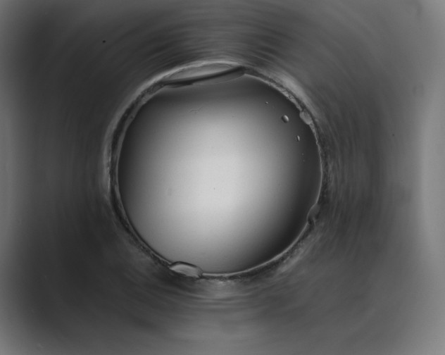 X0000089351124200706291016