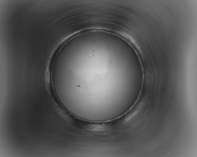X0000089351125200706291016