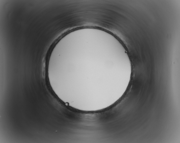 X0000089351126200706291016