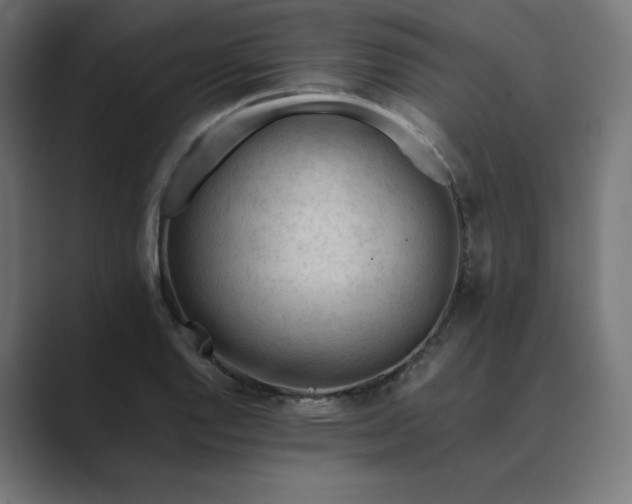X0000089351128200706291016