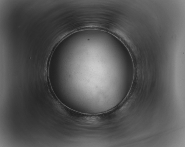 X0000089351129200706291016