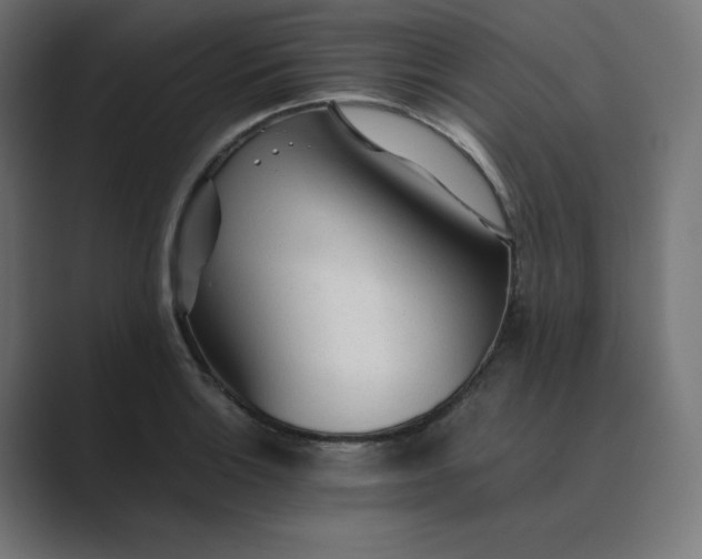 X0000089351132200706291016