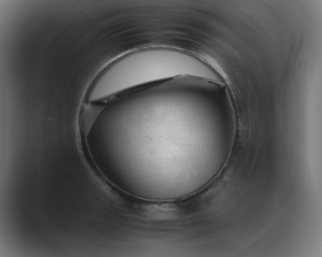 X0000089351133200706291016