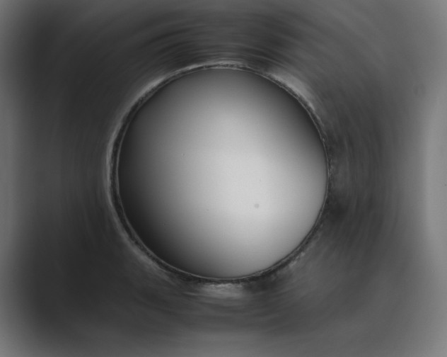 X0000089351135200706291016