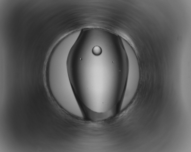 X0000089351138200706291016