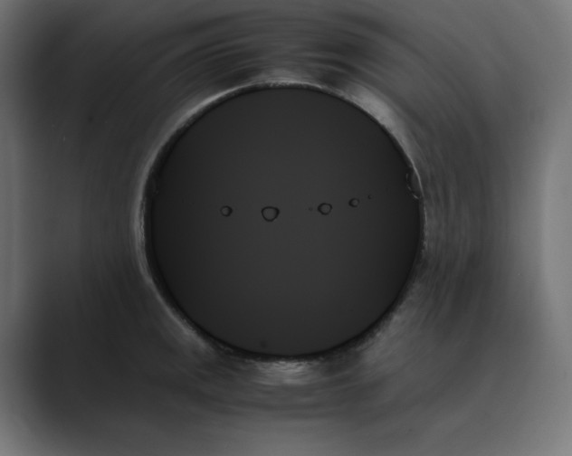 X0000089351141200706291016