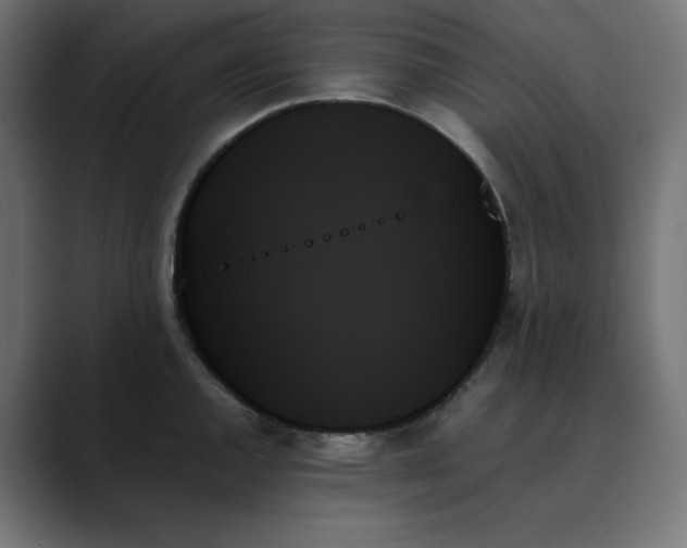 X0000089351144200706291016