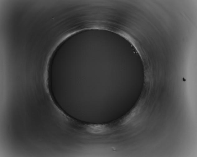 X0000089351147200706291016