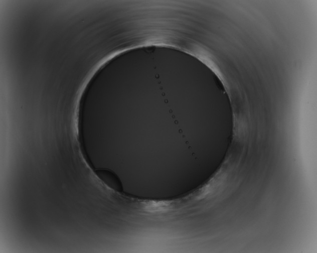 X0000089351148200706291016