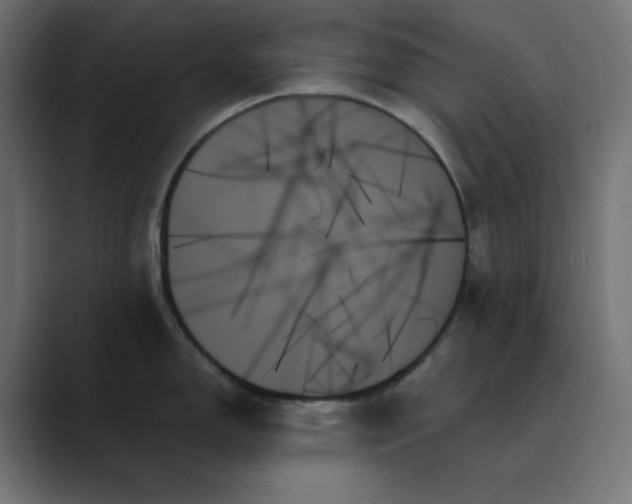 X0000089351150200706291016