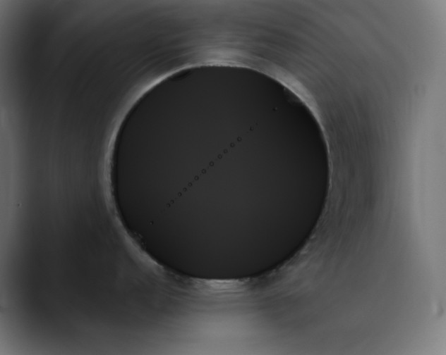 X0000089351152200706291016