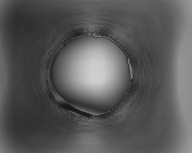 X0000089351153200706291015