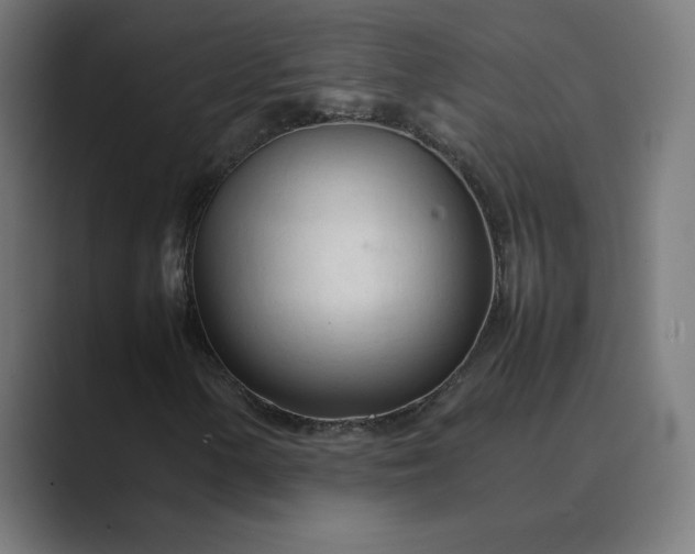 X0000089351154200706291015