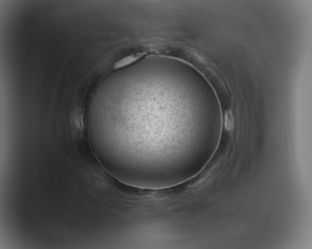 X0000089351155200706291015