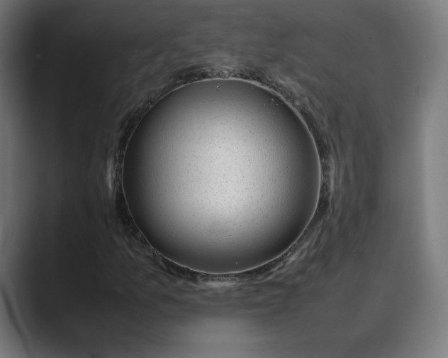X0000089351157200706291015