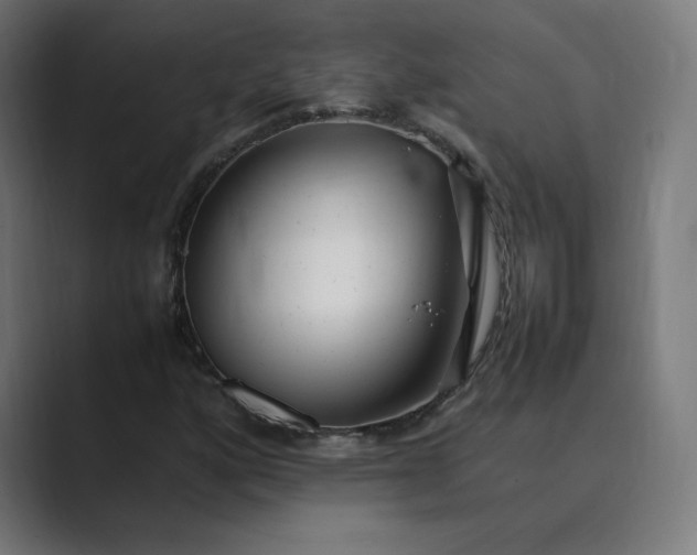 X0000089351160200706291015