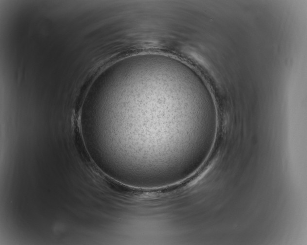 X0000089351161200706291015