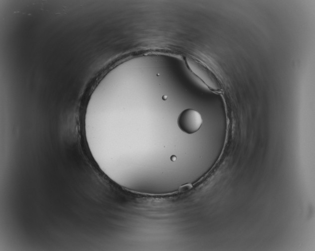X0000089351164200706291015
