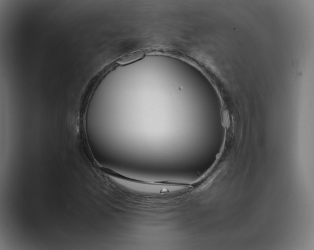 X0000089351165200706291015