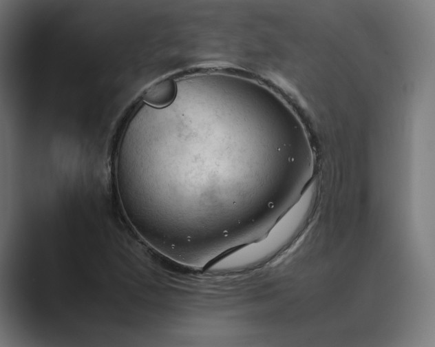 X0000089351167200706291015