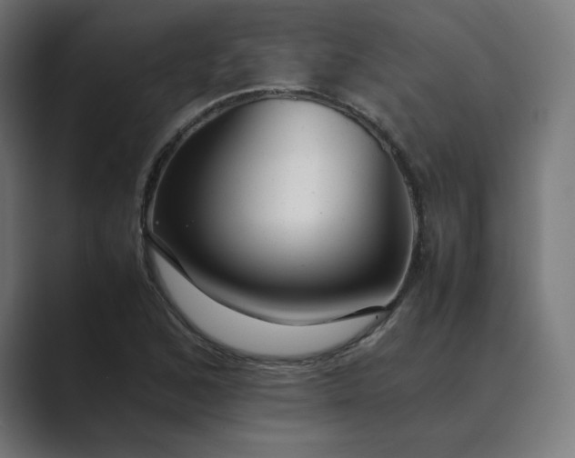 X0000089351168200706291015