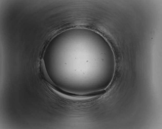 X0000089351169200706291015